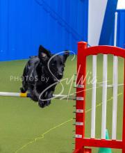 25-1-19-Sun-KathySeminar-325