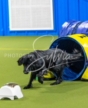 25-1-19-Sun-KathySeminar-329