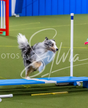 25-1-19-Sun-KathySeminar-331