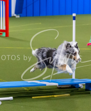 25-1-19-Sun-KathySeminar-332