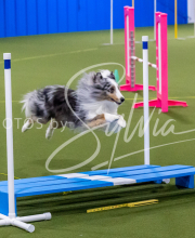 25-1-19-Sun-KathySeminar-336