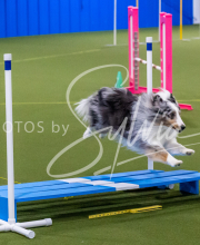 25-1-19-Sun-KathySeminar-337