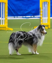 25-1-19-Sun-KathySeminar-346