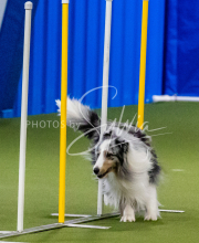 25-1-19-Sun-KathySeminar-350