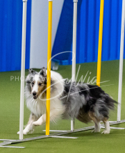 25-1-19-Sun-KathySeminar-354