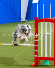 25-1-19-Sun-KathySeminar-356