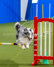 25-1-19-Sun-KathySeminar-357