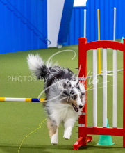 25-1-19-Sun-KathySeminar-358