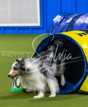 25-1-19-Sun-KathySeminar-363