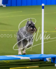 25-1-19-Sun-KathySeminar-366