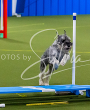 25-1-19-Sun-KathySeminar-367