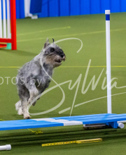 25-1-19-Sun-KathySeminar-372