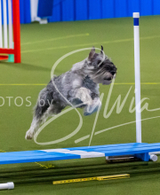 25-1-19-Sun-KathySeminar-373