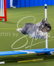 25-1-19-Sun-KathySeminar-374