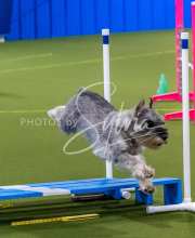 25-1-19-Sun-KathySeminar-375