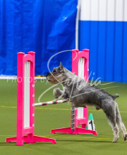 25-1-19-Sun-KathySeminar-380