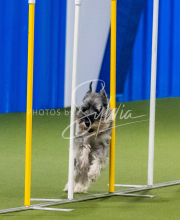 25-1-19-Sun-KathySeminar-388