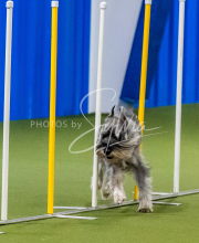 25-1-19-Sun-KathySeminar-389