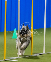 25-1-19-Sun-KathySeminar-397