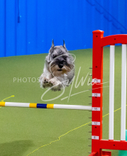 25-1-19-Sun-KathySeminar-398