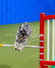 25-1-19-Sun-KathySeminar-399