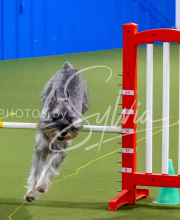 25-1-19-Sun-KathySeminar-400