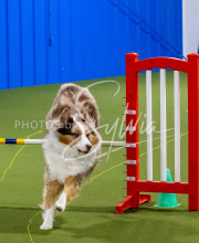 25-1-19-Sun-KathySeminar-419