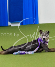 25-1-19-Sun-KathySeminar-431