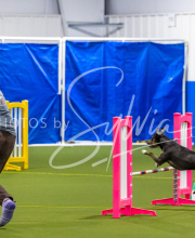 25-1-19-Sun-KathySeminar-461