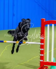 25-1-19-Sun-KathySeminar-469