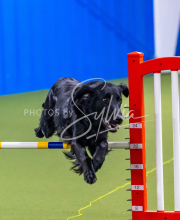 25-1-19-Sun-KathySeminar-511