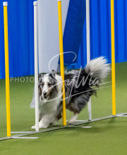 25-1-19-Sun-KathySeminar-525