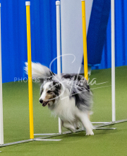 25-1-19-Sun-KathySeminar-527