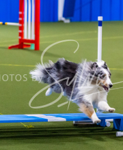 25-1-19-Sun-KathySeminar-550