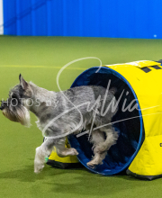 25-1-19-Sun-KathySeminar-565