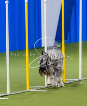 25-1-19-Sun-KathySeminar-580