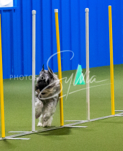 25-1-19-Sun-KathySeminar-587