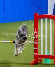 25-1-19-Sun-KathySeminar-593