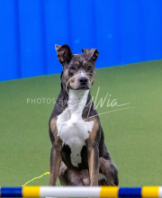 25-1-19-Sun-KathySeminar-598