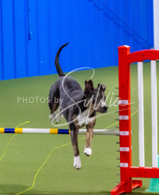 25-1-19-Sun-KathySeminar-603