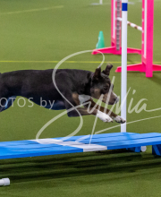 25-1-19-Sun-KathySeminar-608