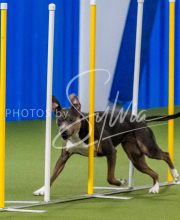 25-1-19-Sun-KathySeminar-618