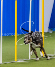 25-1-19-Sun-KathySeminar-620