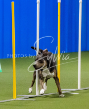 25-1-19-Sun-KathySeminar-624