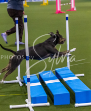 25-1-19-Sun-KathySeminar-644