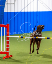 25-1-19-Sun-KathySeminar-655