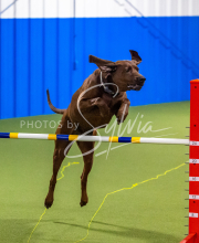 25-1-19-Sun-KathySeminar-657