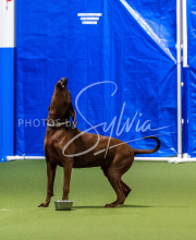 25-1-19-Sun-KathySeminar-660