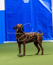 25-1-19-Sun-KathySeminar-664