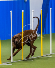 25-1-19-Sun-KathySeminar-670